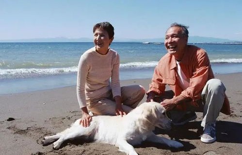 老人200元跟团游遭遇陷阱，被忽悠购买海景房的背后