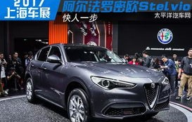 阿尔法罗密欧suv(阿尔法罗密欧suv参数配置)