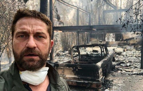 95岁好莱坞女星命丧加州山火，悲剧中的警醒与反思