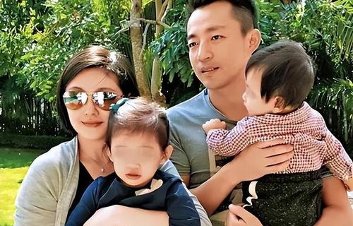 大S去世后，儿女抚养权归属之谜