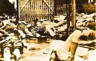 揭秘日军侵华罪证，法国小伙捐赠家人珍藏的珍贵影像