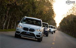 宝马新能源车(宝马新能源车有哪几款)