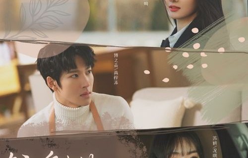 短剧爱在时光深处——王格格与王道铁的十集情缘