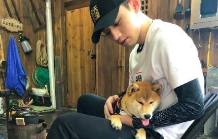 陈哲远领养剧组小狗，一份特殊的爱与责任