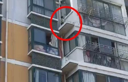 28楼业主破墙开门，搭建通往隔壁楼顶的秘密通道