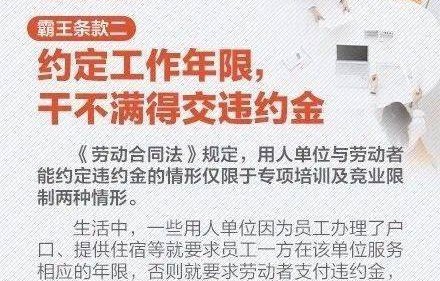 职场逍遥王——一部80集短剧的职场人生启示