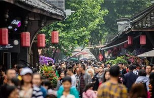 郑州大学生夜袭开封，一场别样的文化探索之旅