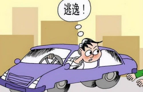 女子醉驾撞车逃逸，让儿子顶包被罚——一桩警示社会的交通违法行为