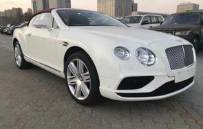 宾利欧陆gt价格(白色宾利欧陆gt价格)