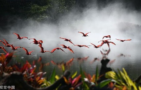 被闲云野鹤拉入花开富贵群，40万资金不翼而飞