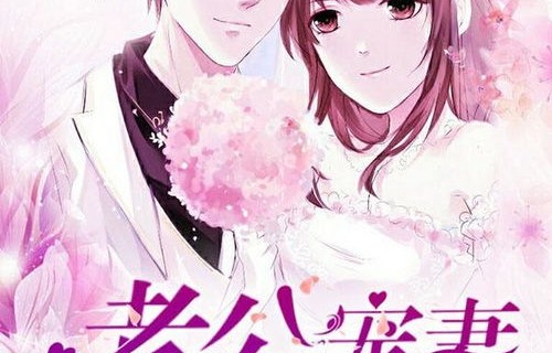 短剧闪婚后，我被总裁老公宠上天——百集情感之旅