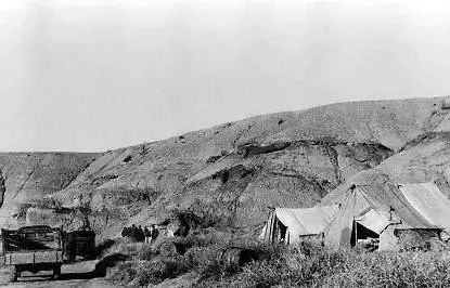 妈妈,全红婵,国家的女儿,荣耀的象征