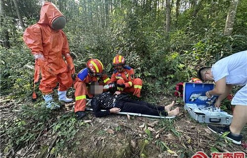 四川男子马蜂蜇伤致死，悲剧背后的警示