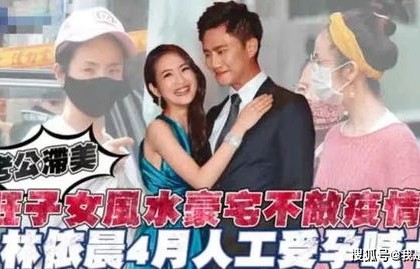 短剧我的抢婚老公是恋爱脑——67集的浪漫之旅