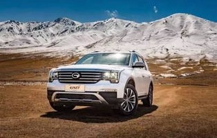 2025年最具潜力的新兴汽车品牌