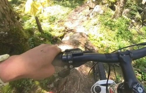 猛蛇过江——第三次野外发现遗骸的神秘事件