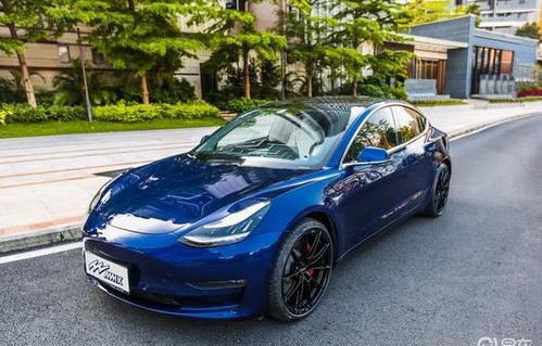 model3(model3 轮胎)