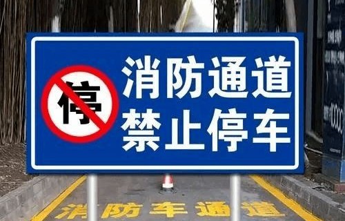 紧急救援行动，载有五百多条狗的货车被截停