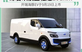 开瑞海豚新能源面包车报价(开瑞海豚面包车图片)