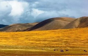 巴音布鲁克之寒，零下42.5℃的冷酷现实与手机挑战