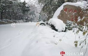 泰山积雪深度近20厘米，暴雪量级的冬日奇观