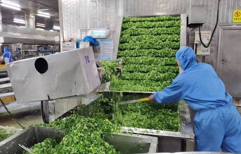 预制菜在一片骂声中卖爆，市场现象的深度解析