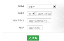 非本人违章查询入口(非本人违章查询入口在线查询)