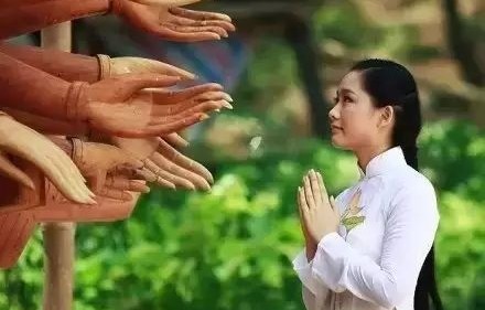 短剧植物人系列，生命的奇迹与坚韧