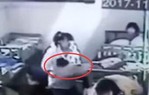 外卖员高空抛猫事件，警方深入调查与公众关注