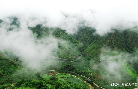 哀牢山露营博主，七天奇迹涨粉36.5万