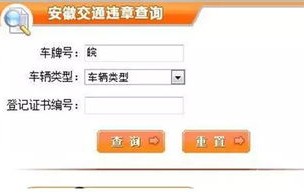河北公安网交通违章查询手机版(河北公安交管手机网违章查询)
