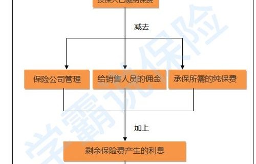 保险公司回应取钱需等待至2084年，时间之谜的解析与反思