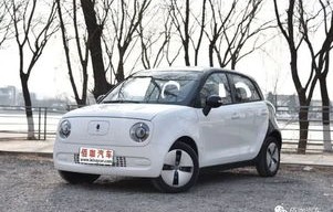 二座微型燃油小汽车(二座微型燃油小汽车国内什么地方有)