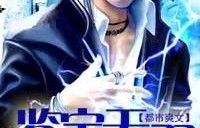 短剧鉴宝无双，九十三集的收藏之旅