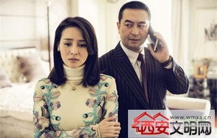 韩总夫人喊你抢菜了，一部百集短剧的精彩演绎