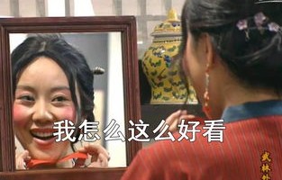 短剧之瘾，刁蛮夫人路子野的魅力之旅（共97集）