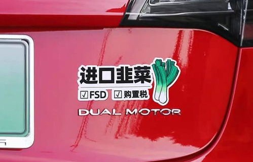 上海全面禁止特斯拉(上海全面禁止特斯拉充电)