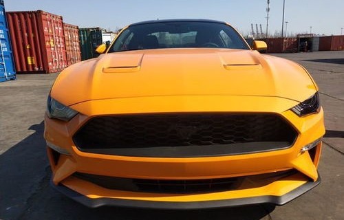 福特野马图片(福特野马图片大全)