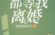 短剧界王之离婚后的新篇章——我赠予老婆的飞机（共90集）