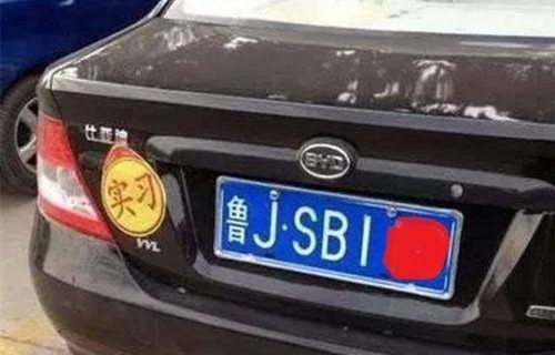 12123直接输入车牌号(12123直接输入车牌号查车)