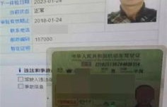 查询个人驾驶证信息(查个人驾驶证信息查询网)