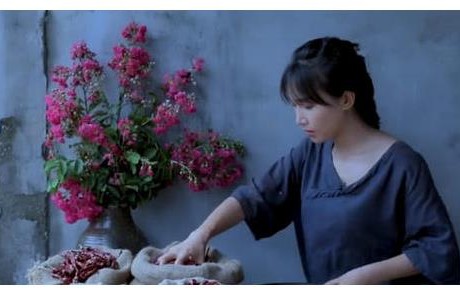 春晚首镜聚焦李子柒，传统与现代的完美融合