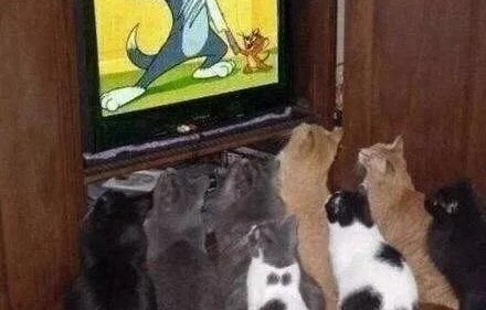 母女情深，雨中接回失窃小狗