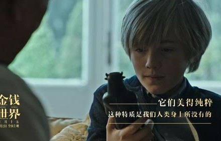 短剧中的危险关系，探索与思考