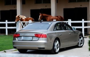 v12厉害还是w12厉害(v12和w12哪个更好)