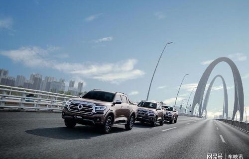 长城汽车长城炮皮卡价格(长城皮卡长城炮多少钱)