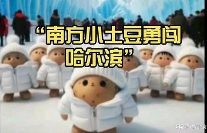 南方小土豆的温暖之旅，穿棉裤的监督与成长
