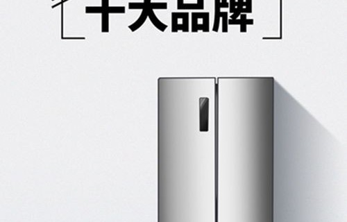 电冰箱排名前十名的品牌(国产电冰箱排名前十名的品牌)