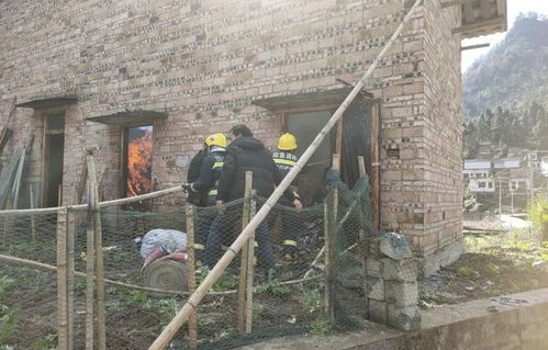 村民自家熏腊肉遭遇罚款风波，理解与反思