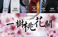 短剧替嫁甜妻，百集情感大戏